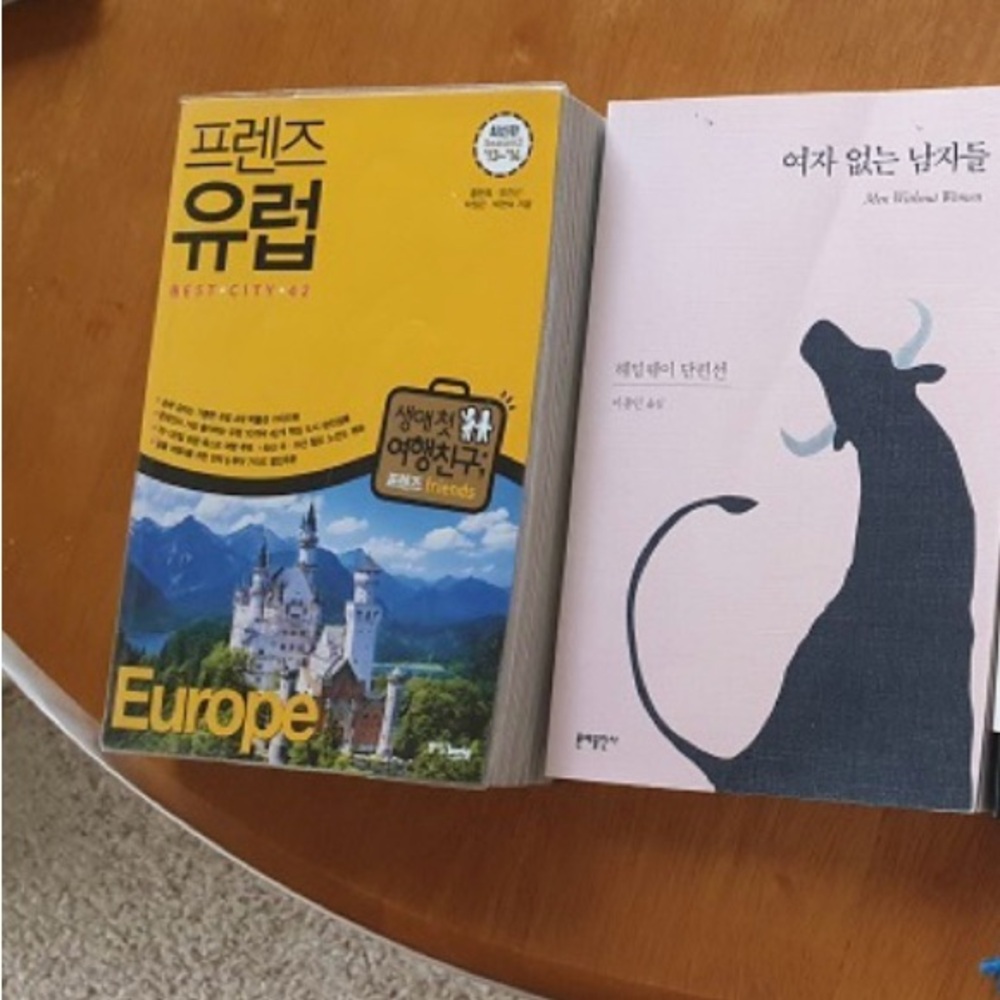 Europe Travel Guide Book